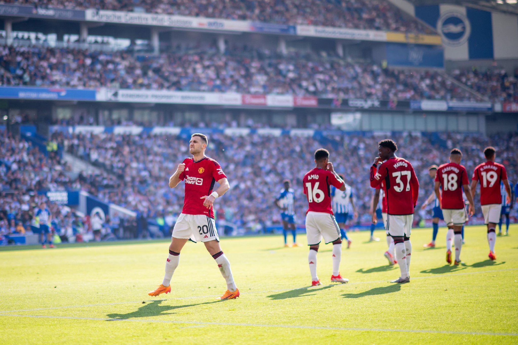 展提供了有 展提供了有